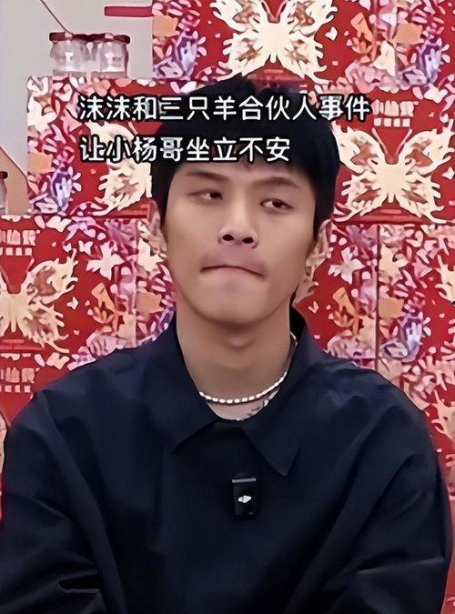 免费吃瓜 独家揭秘小杨哥,独家探秘小杨哥背后的故事 第2张 免费吃瓜 独家揭秘小杨哥,独家探秘小杨哥背后的故事 第2张