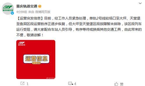 重庆一号线爆料事件视频,地铁内惊人一幕引发热议 第2张 重庆一号线爆料事件视频,地铁内惊人一幕引发热议 第2张