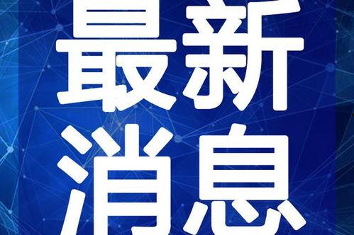 爆料济宁小三事件视频最新,真相与争议交织