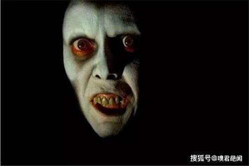 招魂2在线观看网址,揭秘恐怖事件的深层真相！