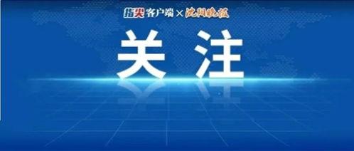 极目新闻新闻爆料,揭秘重大事件背后真相 第2张 极目新闻新闻爆料,揭秘重大事件背后真相 第2张