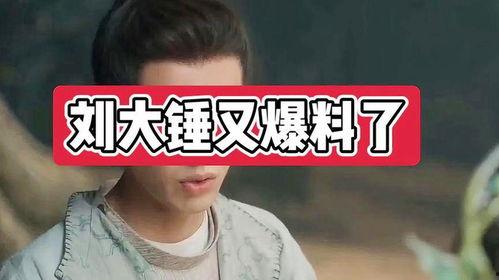 刘大锤最新爆料图片,最新图片揭秘幕后真相  第2张