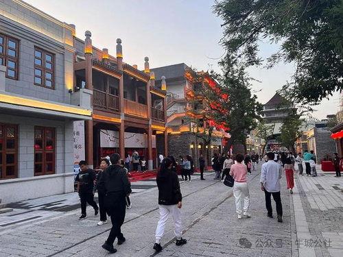 河北邢台大街爆料事件视频,真相与争议交织的街头风云