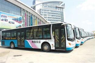 青岛交运巴士爆料最新消息 第3张 青岛交运巴士爆料最新消息 第3张