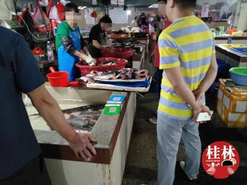 娱乐吃瓜菌恋爱,甜蜜瓜田里的浪漫邂逅 第3张 娱乐吃瓜菌恋爱,甜蜜瓜田里的浪漫邂逅 第3张