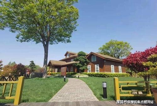 大丰房产爆料最新消息查询,揭秘市场动态与未来趋势  第2张