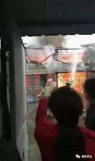 网友爆料瑞安视频播放,网友爆料背后的真相揭秘  第2张