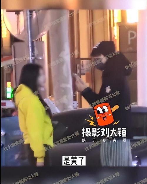 刘大锤爆料辛巴视频播放,揭秘背后惊人真相 第2张 刘大锤爆料辛巴视频播放,揭秘背后惊人真相 第2张