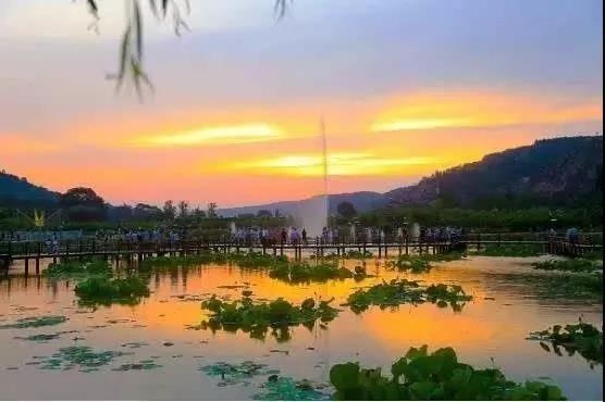 庆阳爆料风景视频下载网站,揭秘爆款视频下载网站  第2张