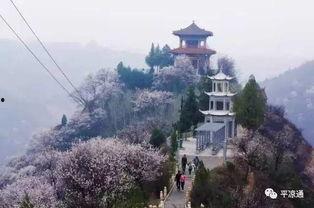 庆阳爆料风景视频下载网站,揭秘爆款视频下载网站  第3张