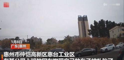 广东惠州爆料事件视频,揭露背后真相，引发社会关注  第2张