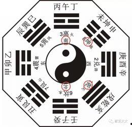 今日娱乐爆料八卦图最新,揭秘今日八卦图背后的惊人真相！  第2张