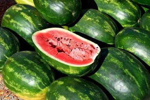 临海爆料吃瓜视频大全,吃瓜视频大全,揭秘幕后真相 第3张 临海爆料吃瓜视频大全,吃瓜视频大全,揭秘幕后真相 第3张