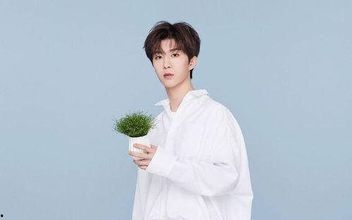 范丞丞和贾玲爆料视频合集,笑料百出视频合集幕后故事揭秘  第3张