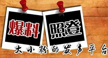 最新普拉达爆料新闻,揭秘品牌新动向与神秘新品  第2张
