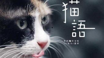 猫之城最新爆料视频网,最新爆料视频带你探秘神秘猫界  第3张