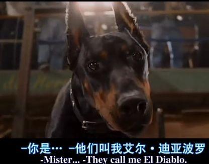 比佛利拜金狗在线观看,奢华生活背后的财富追逐