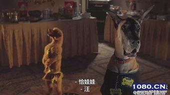 比佛利拜金狗在线观看,奢华生活背后的财富追逐  第2张