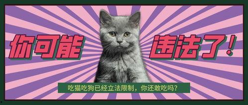 黑喵最新爆料新闻,最新爆料新闻背后的惊人真相 第2张 黑喵最新爆料新闻,最新爆料新闻背后的惊人真相 第2张