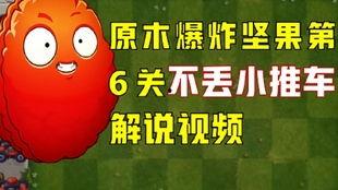 天全爆料视频大全,揭秘热点事件背后的真相  第1张