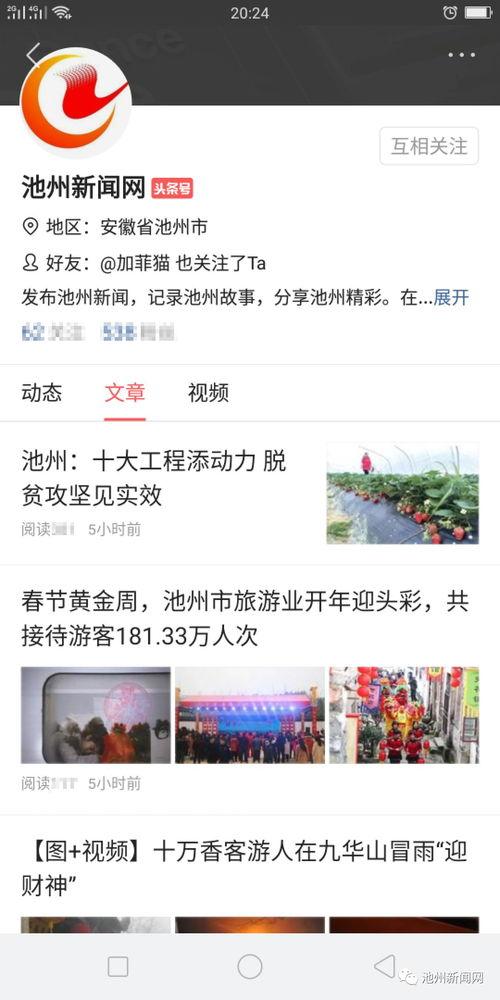 头条号新闻爆料有用吗,揭秘新闻背后的真实力量