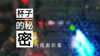 德州饭店爆料视频最新版,揭露惊人内幕，真相令人震惊！