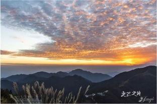 彩霞在线观看的,云端绽放的浪漫传奇 第2张 彩霞在线观看的,云端绽放的浪漫传奇 第2张