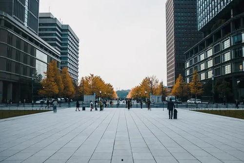 推特战区爆料最新消息,揭秘前线动态与战略部署!” 第2张 推特战区爆料最新消息,揭秘前线动态与战略部署!” 第2张