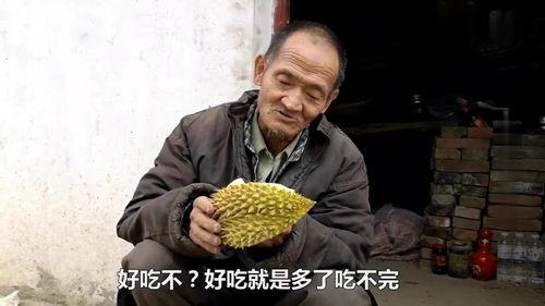 农村免费大爷吃瓜,共享乡村振兴成果 第3张 农村免费大爷吃瓜,共享乡村振兴成果 第3张