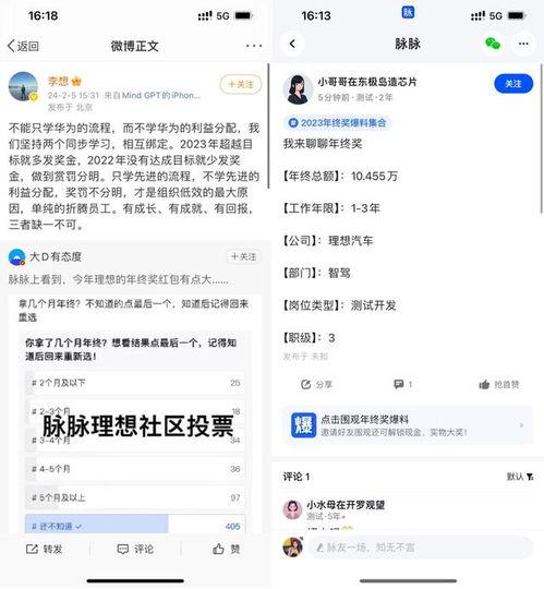 理想员工爆料视频最新版,最新爆料视频深度解析  第3张