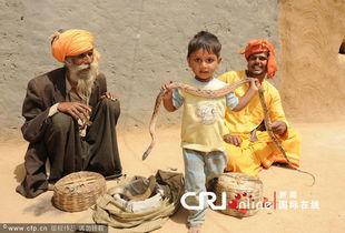 营生在线观看,揭秘网络创业新趋势