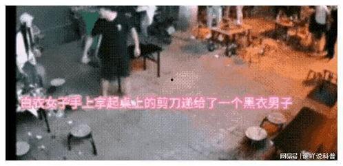 正当防卫爆料案例视频播放,视频揭露惊人真相,正义得以伸张 第2张 正当防卫爆料案例视频播放,视频揭露惊人真相,正义得以伸张 第2张