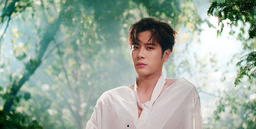 王嘉尔视频爆料是真的吗,王嘉尔视频爆料真实性揭秘