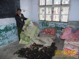 湖北襄樊市爆料事件最新,揭秘背后真相与影响  第2张