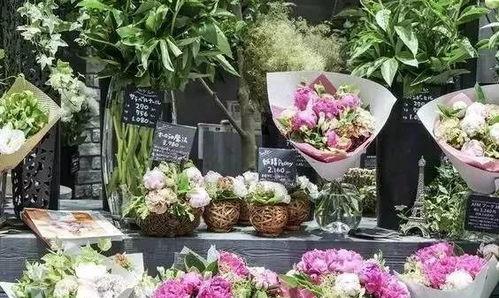 免费吃瓜花店,夏日里的甜蜜诱惑与温馨故事  第2张