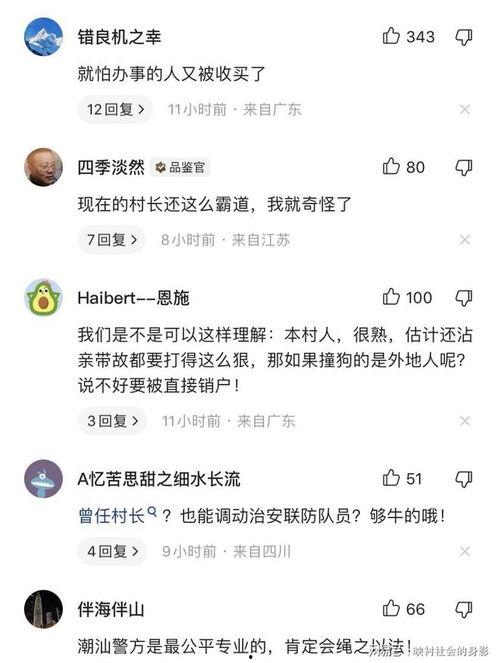 爆料被撞博主视频大全,被撞博主视频大全引发网友热议
