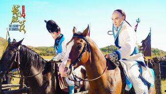 龙胆花电视剧在线观看,探寻神秘花海，揭秘传奇人生  第3张