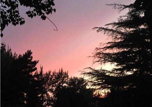 娱乐吃瓜酱晚霞,吃瓜酱带你领略娱乐圈晚霞时刻  第3张