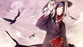 新春鼬爆料视频大全,欢乐瞬间尽收眼底