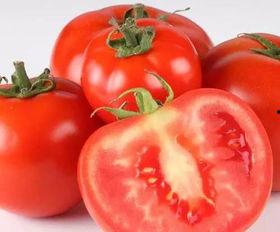 西红柿爆料视频,幕后真相大曝光  第2张