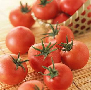 西红柿爆料视频,幕后真相大曝光  第3张