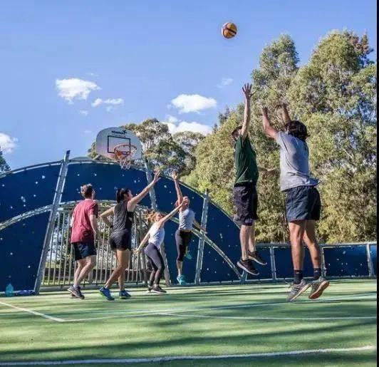 羊崽直播爆料视频大全集,揭秘视频大全集精彩瞬间