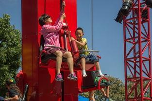 走马观花爆料视频完整版,揭秘事件背后真相  第2张