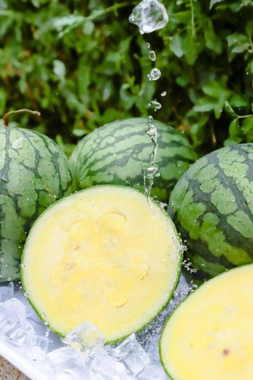 黑瓜吃料正能量免费下载,正能量免费下载,畅享快乐时光 第2张 黑瓜吃料正能量免费下载,正能量免费下载,畅享快乐时光 第2张