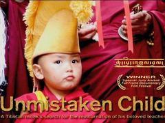 《小活佛》在线观看,探寻神秘灵童的奇幻之旅  第2张