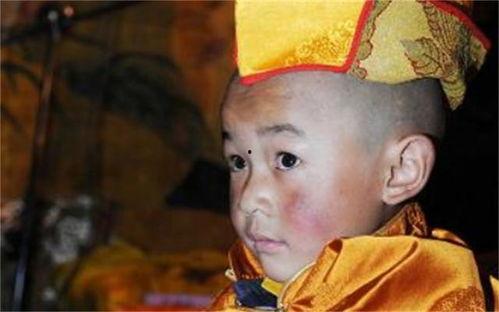 《小活佛》在线观看,探寻神秘灵童的奇幻之旅  第3张