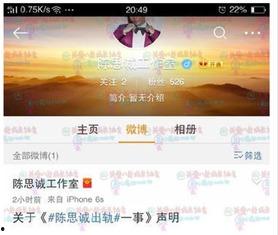 陈思诚最新爆料微博,揭秘影视圈幕后真相  第3张