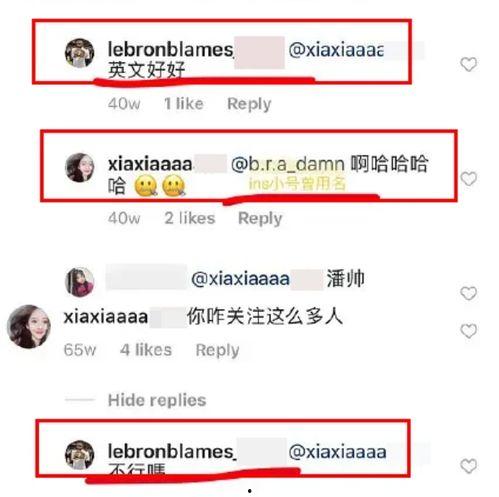 网红吃瓜事件记录最新,揭秘网络舆论背后的真相与争议