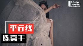 陈大事夫妇爆料视频大全,揭秘背后惊人真相  第2张