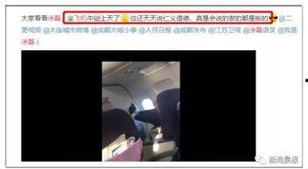 网友爆料飞机视频大全图片,飞机视频大全，空中奇观尽收眼底  第2张